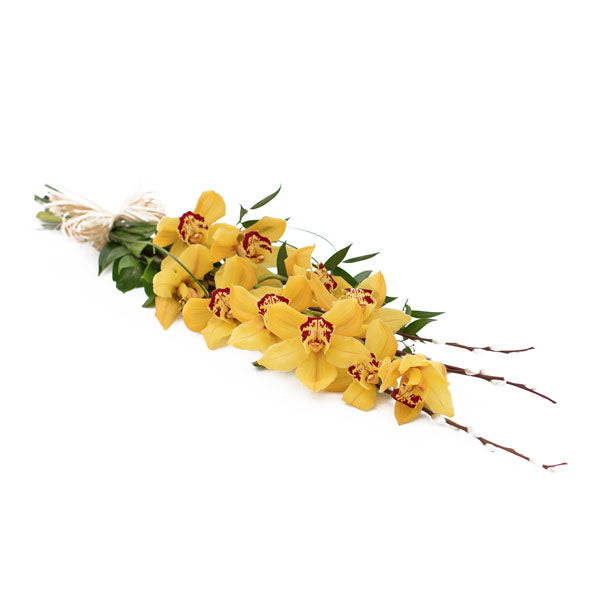 Classic Cymbidium Tied Sheaf