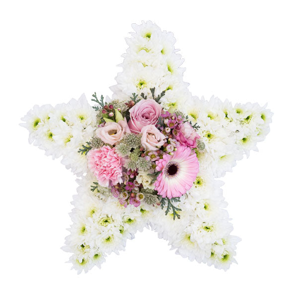 Star Tribute