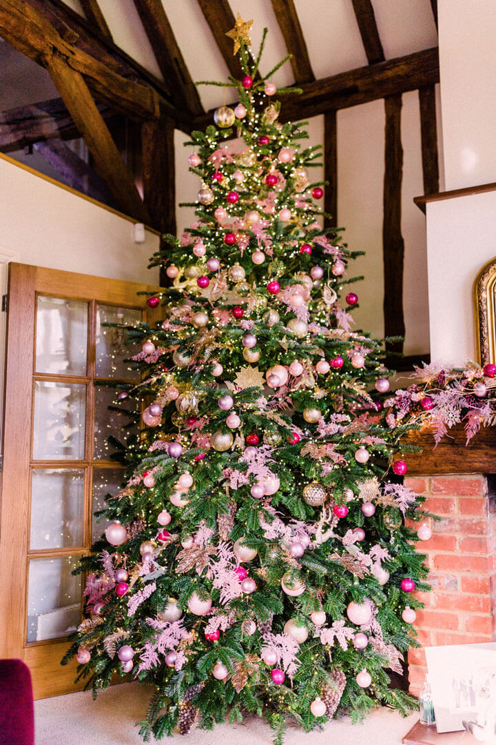 Christmas Trees